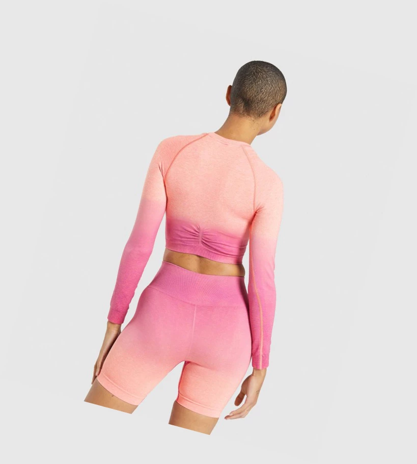Gymshark Adapt Ombre Seamless Crop Top Naisten Puserot Oranssi Pinkki | GDZUFQ568