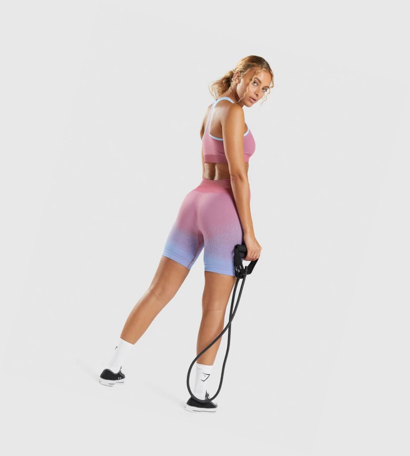 Gymshark Adapt Ombre Seamless Cycling Naisten Shortsit Pinkki Pinkki Vaaleansininen | MJQERV645