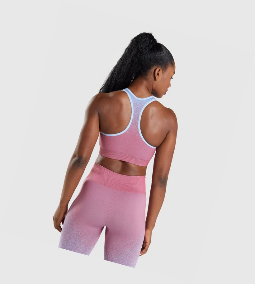 Gymshark Adapt Ombre Seamless Naisten Urheiluliivit Pinkki Pinkki Vaaleansininen | YJRXIP028