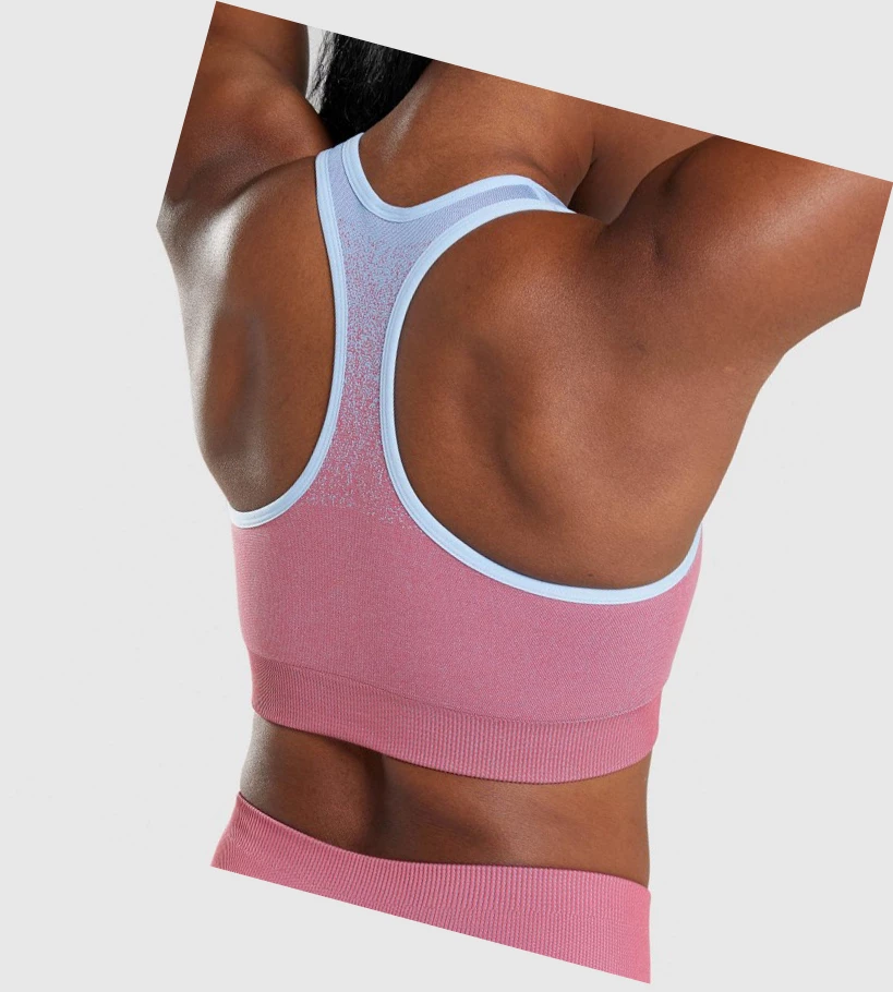 Gymshark Adapt Ombre Seamless Naisten Urheiluliivit Pinkki Pinkki Vaaleansininen | YJRXIP028