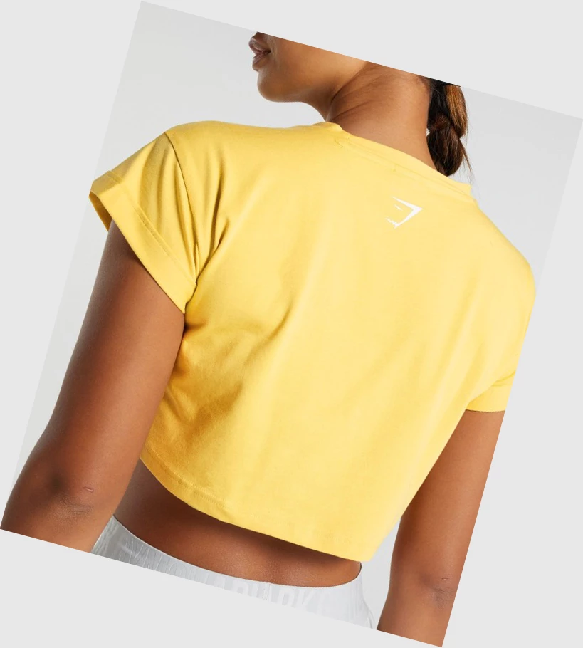 Gymshark Animal Graafinen Infill Crop Naisten T Paidat Keltainen | AQKYON815