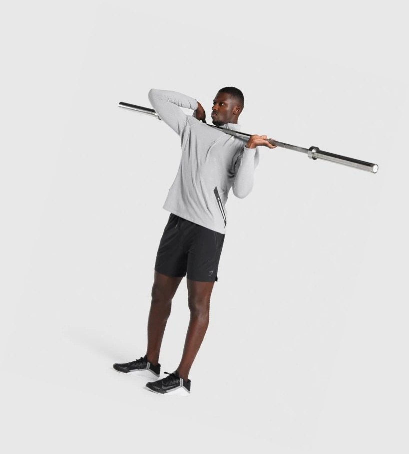 Gymshark Apex 1/4 Zip Miesten Vaatteet Vaaleanharmaat | QOYKGF315