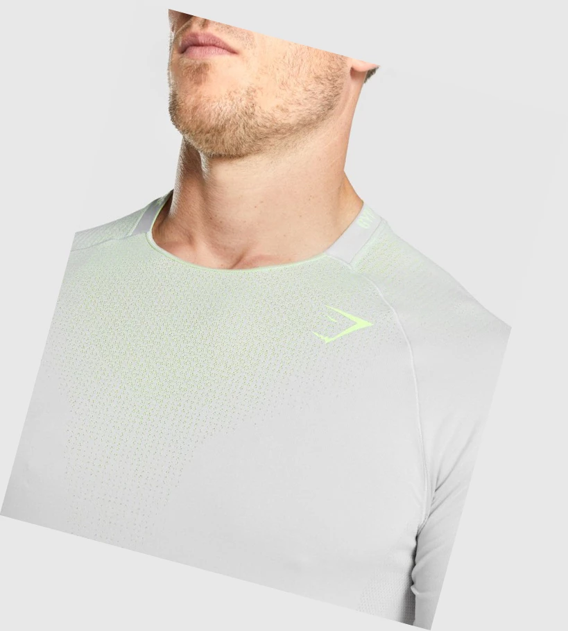 Gymshark Apex Contrast Seamless Miesten T Paidat Vaaleanharmaat | KGYCEX694