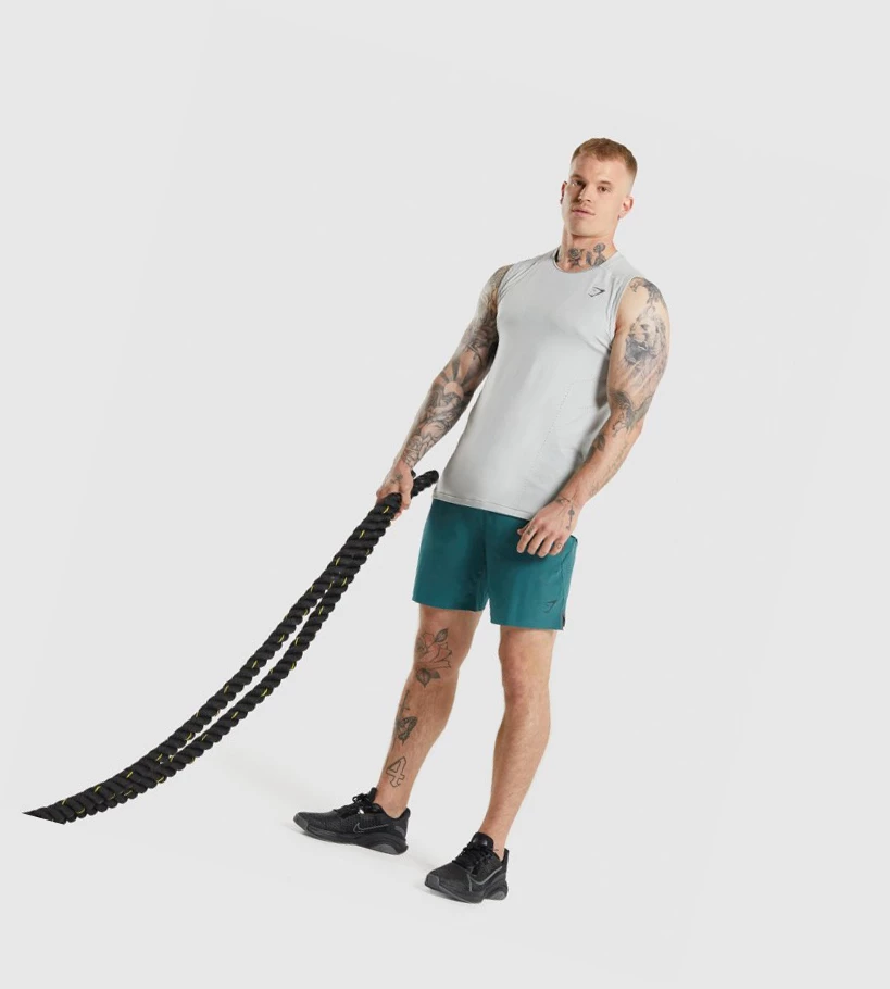 Gymshark Apex Miesten Hihaton Paita Vaaleanharmaat Harmaat | PXOWLG761