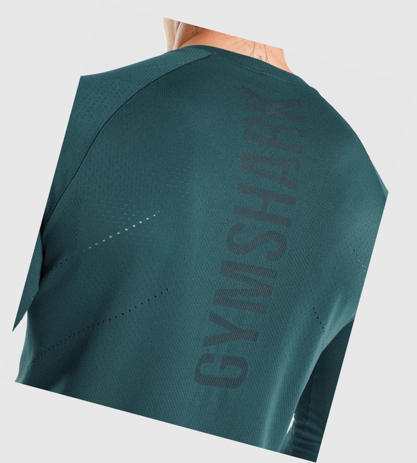 Gymshark Apex Miesten T Paidat Turkoosi | FIDNLK452