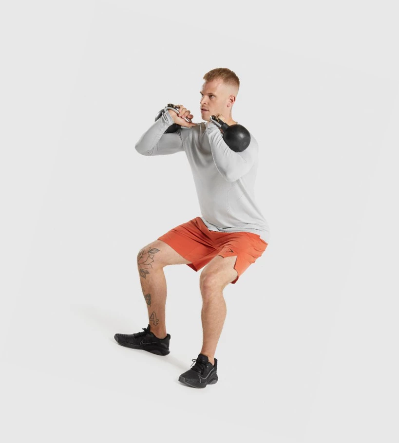 Gymshark Apex Miesten T Paidat Vaaleanharmaat Harmaat | LCRVOK517