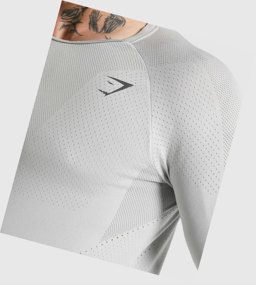 Gymshark Apex Miesten T Paidat Vaaleanharmaat Harmaat | LCRVOK517