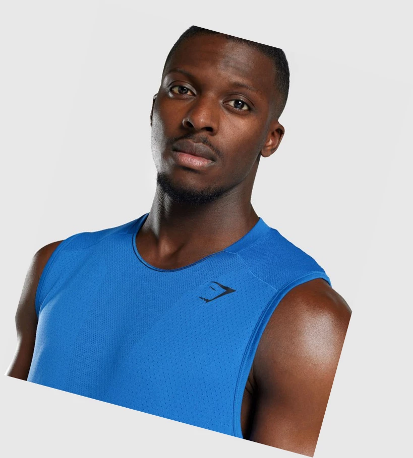 Gymshark Apex Seamless Miesten Hihaton Paita Sininen | YWKXOD816