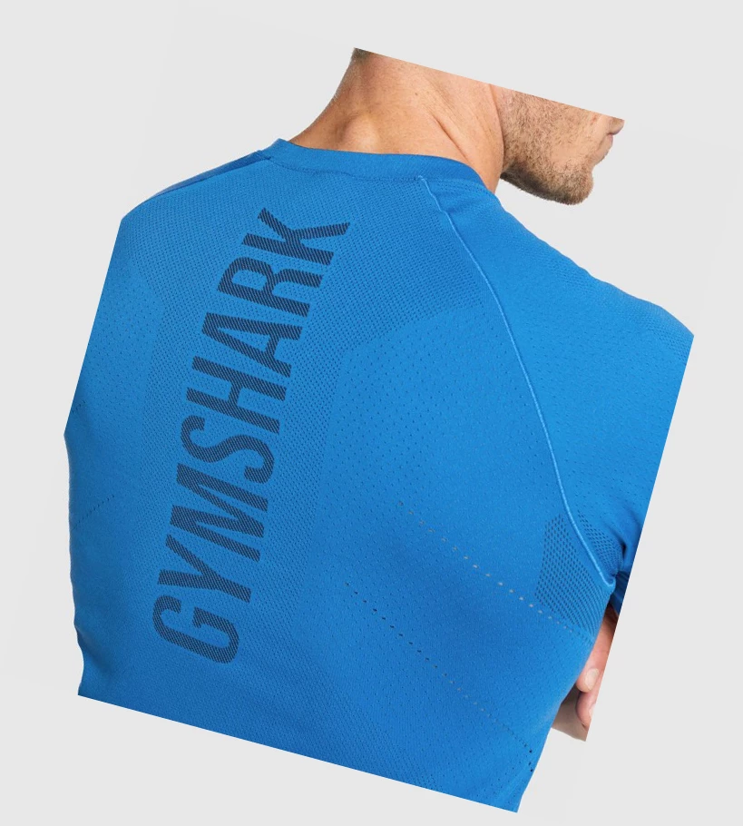 Gymshark Apex Seamless Miesten T Paidat Sininen | BMPIHY825