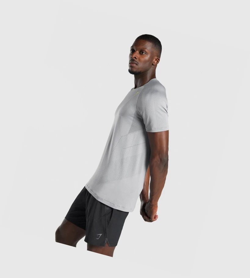 Gymshark Apex Seamless Miesten T Paidat Harmaat | BPKOWT265