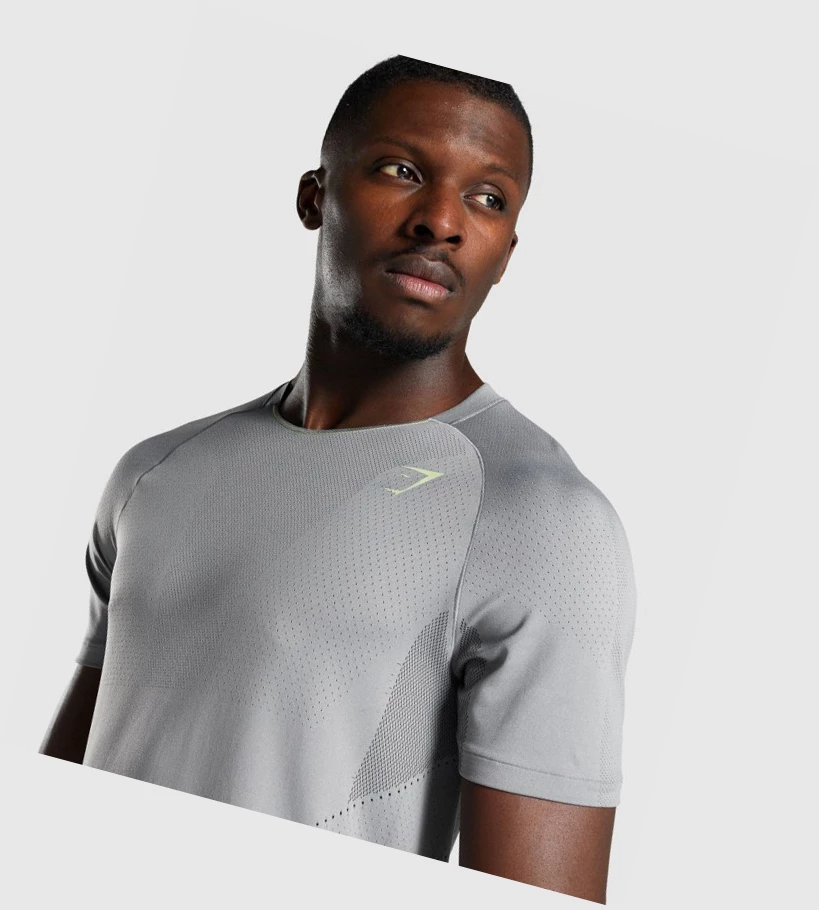 Gymshark Apex Seamless Miesten T Paidat Harmaat | BPKOWT265