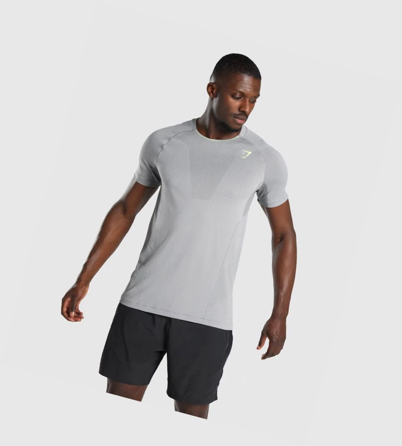 Gymshark Apex Seamless Miesten T Paidat Harmaat | BPKOWT265