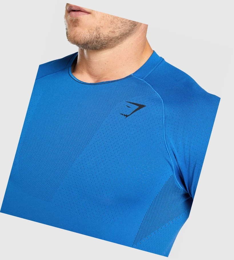 Gymshark Apex Seamless Miesten T Paidat Sininen | INKWZF302