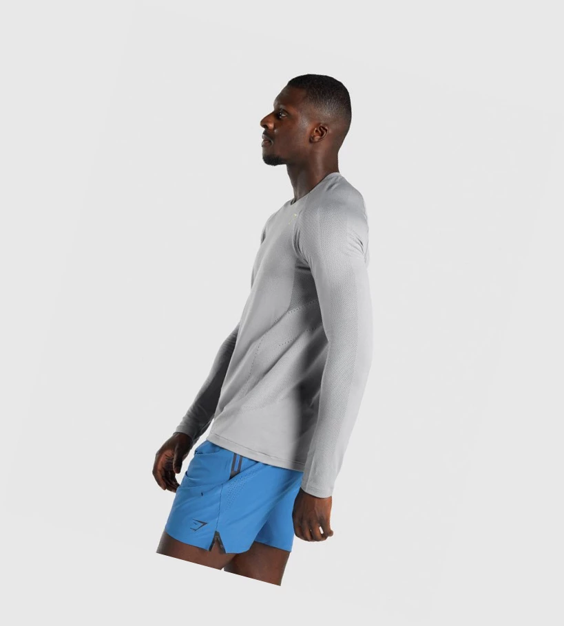 Gymshark Apex Seamless Miesten T Paidat Harmaat | QGFNWD920