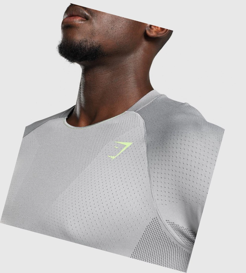 Gymshark Apex Seamless Miesten T Paidat Harmaat | QGFNWD920