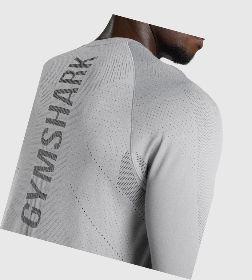 Gymshark Apex Seamless Miesten T Paidat Harmaat | QGFNWD920