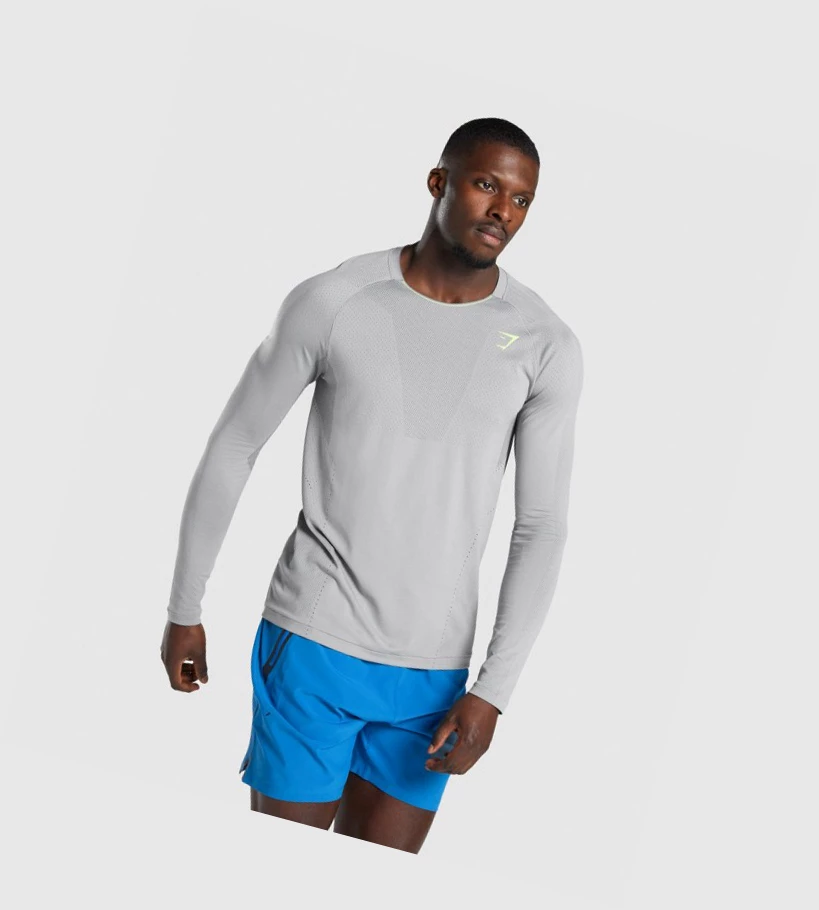 Gymshark Apex Seamless Miesten T Paidat Harmaat | QGFNWD920