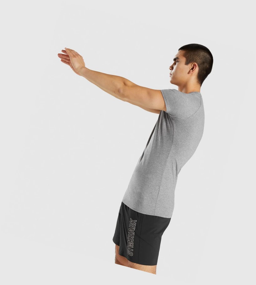 Gymshark Apollo Miesten T Paidat Harmaat | AEIXWY734