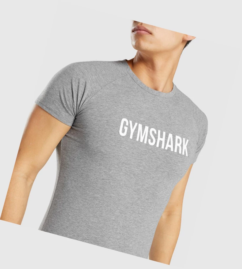 Gymshark Apollo Miesten T Paidat Harmaat | AEIXWY734