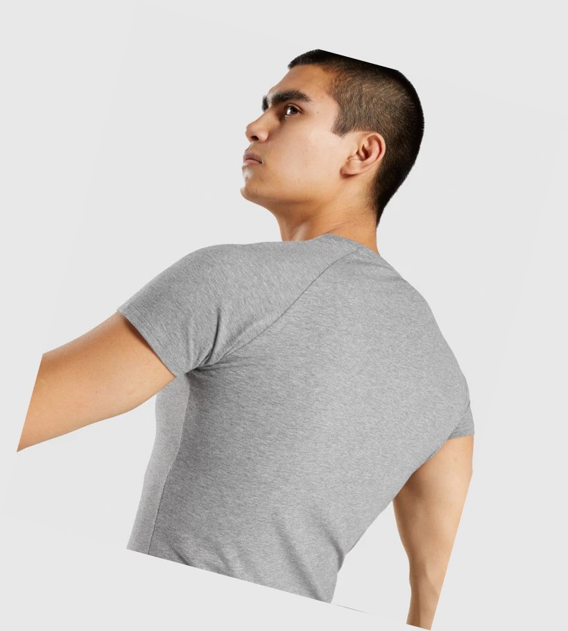 Gymshark Apollo Miesten T Paidat Harmaat | AEIXWY734