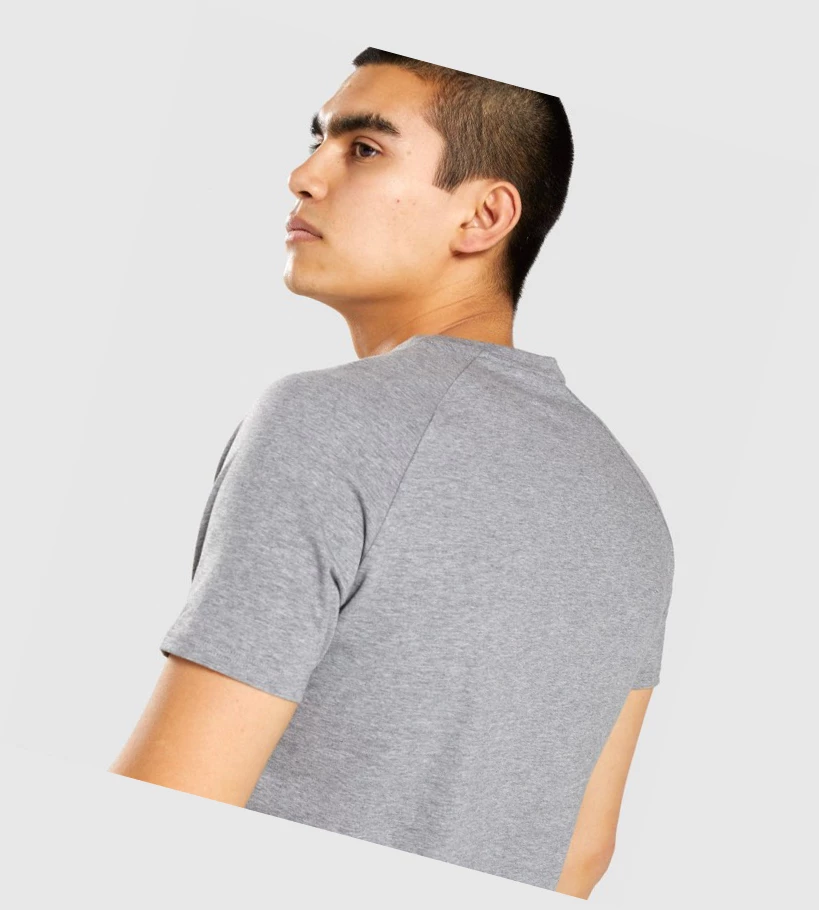 Gymshark Apollo Miesten T Paidat Harmaat | CLAIJZ462