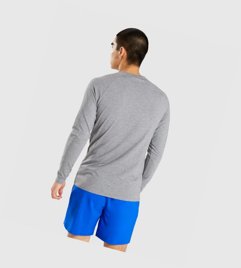 Gymshark Apollo Miesten T Paidat Harmaat | YBNSFV216