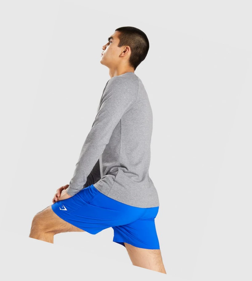 Gymshark Apollo Miesten T Paidat Harmaat | YBNSFV216