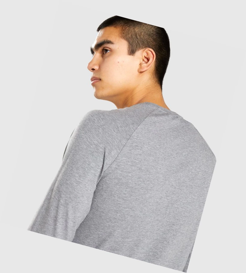 Gymshark Apollo Miesten T Paidat Harmaat | YBNSFV216