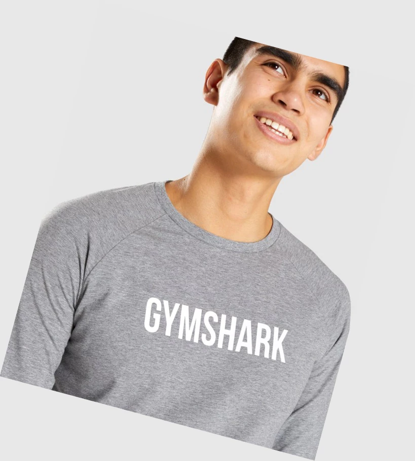 Gymshark Apollo Miesten T Paidat Harmaat | YBNSFV216