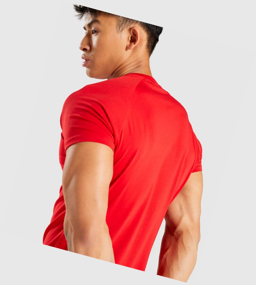 Gymshark Apollo Miesten T Paidat Punainen | SVPIJW576