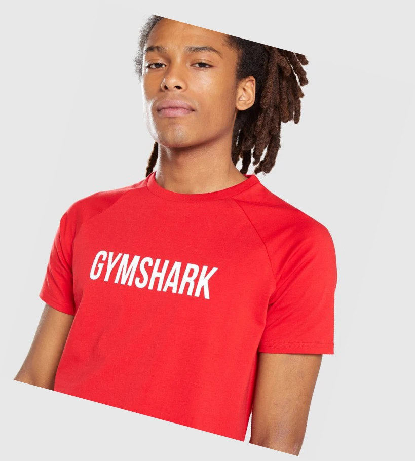 Gymshark Apollo Miesten T Paidat Punainen | YOFXET285