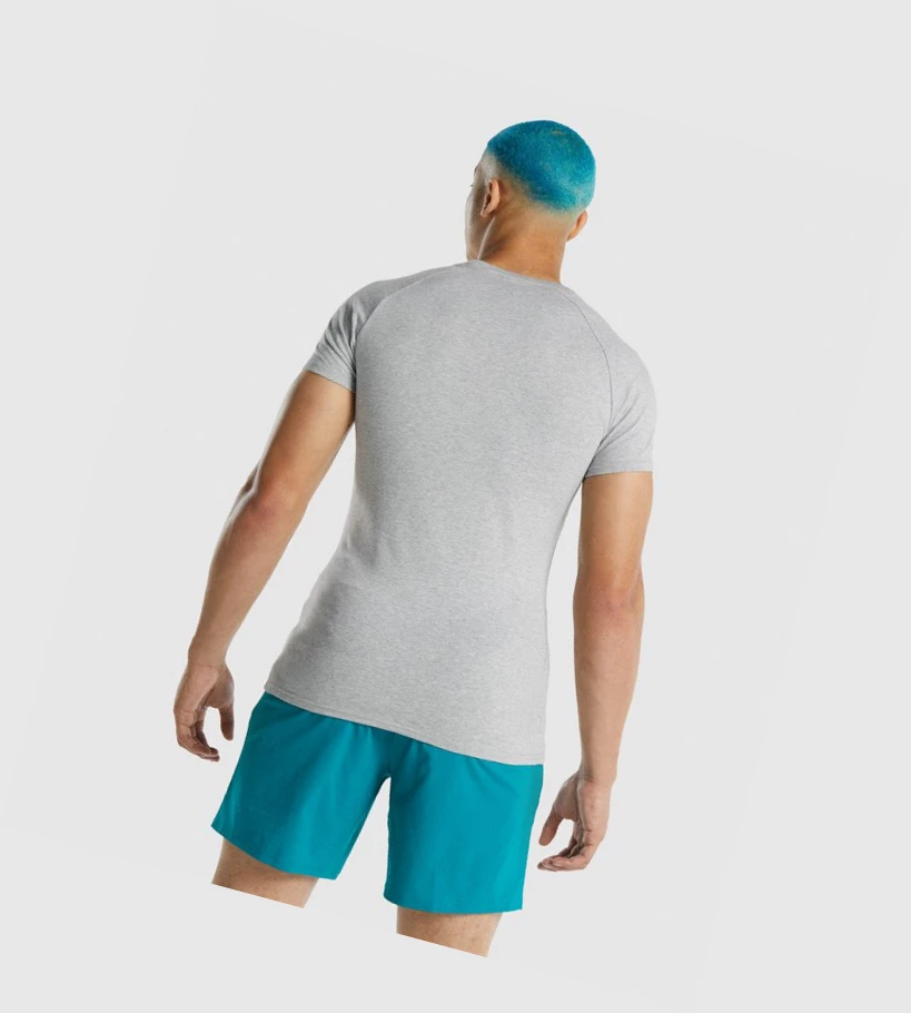 Gymshark Apollo Miesten T Paidat Vaaleanharmaat | KQCUGS073