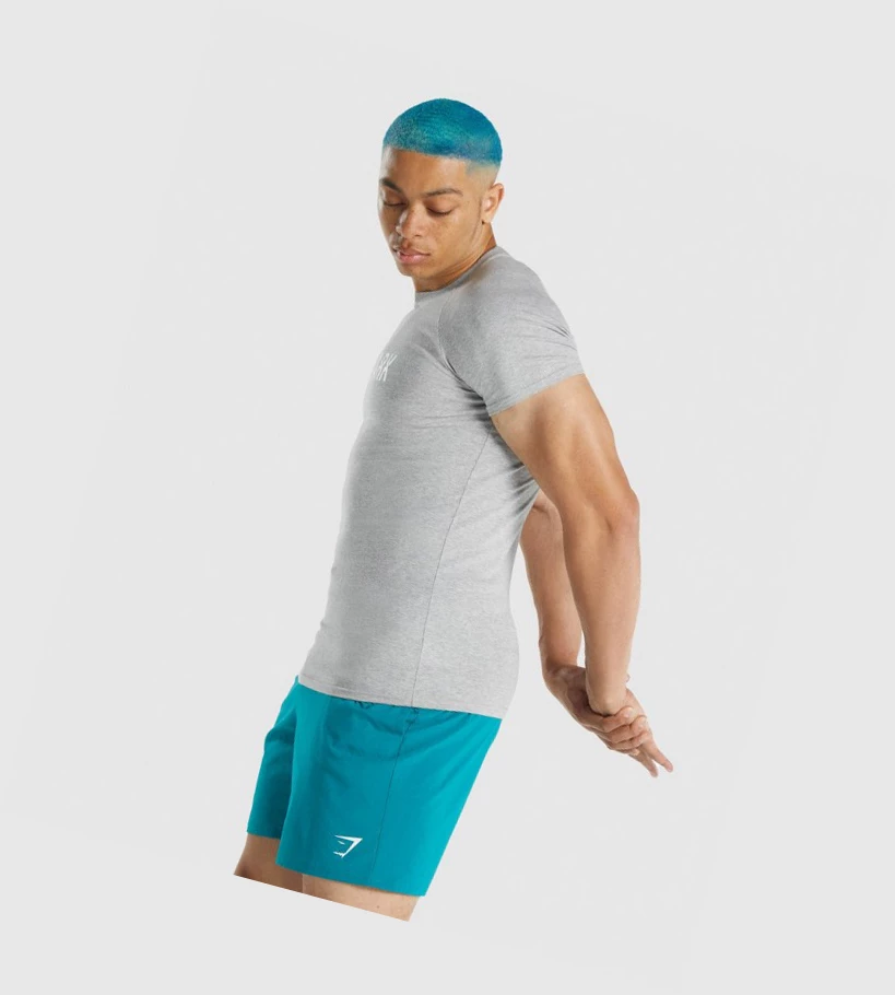 Gymshark Apollo Miesten T Paidat Vaaleanharmaat | KQCUGS073