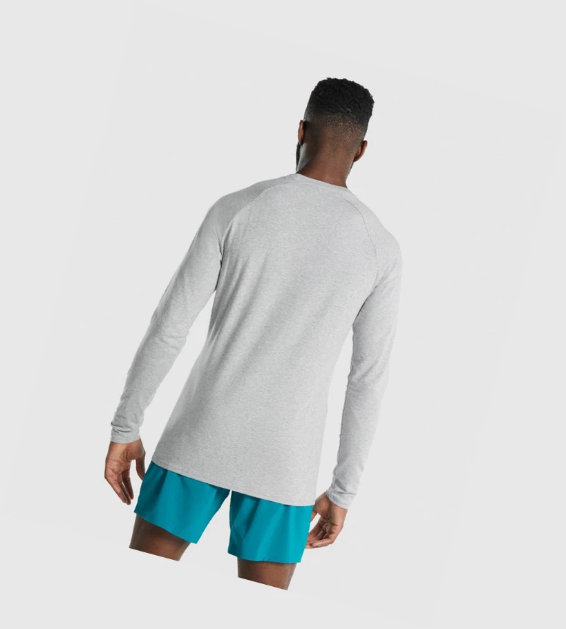 Gymshark Apollo Miesten T Paidat Vaaleanharmaat | LJIKGW519