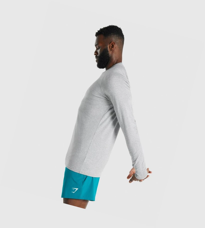 Gymshark Apollo Miesten T Paidat Vaaleanharmaat | LJIKGW519
