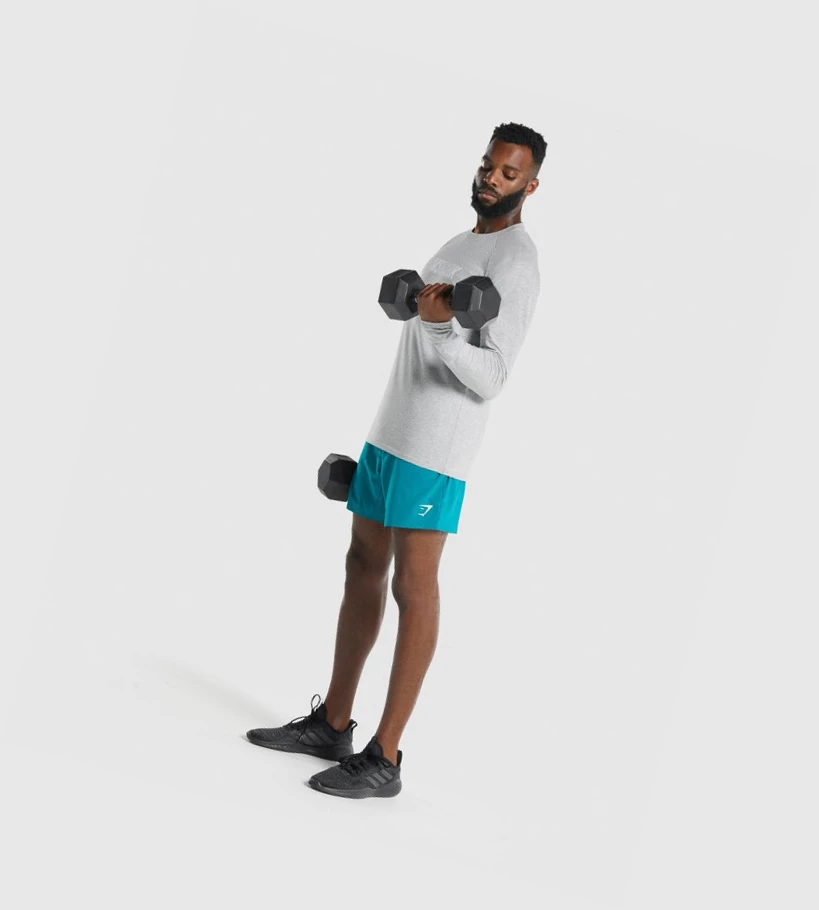 Gymshark Apollo Miesten T Paidat Vaaleanharmaat | LJIKGW519