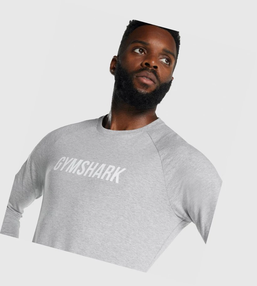 Gymshark Apollo Miesten T Paidat Vaaleanharmaat | LJIKGW519
