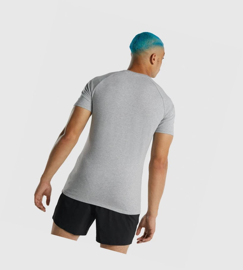 Gymshark Apollo Miesten T Paidat Vaaleanharmaat | QVUTFO839