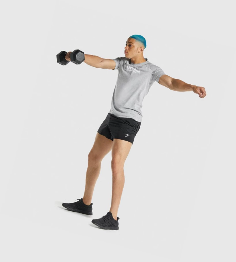 Gymshark Apollo Miesten T Paidat Vaaleanharmaat | QVUTFO839