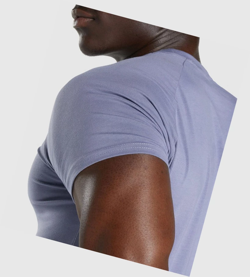 Gymshark Apollo Miesten T Paidat Vaaleansininen | ZGSOIL412