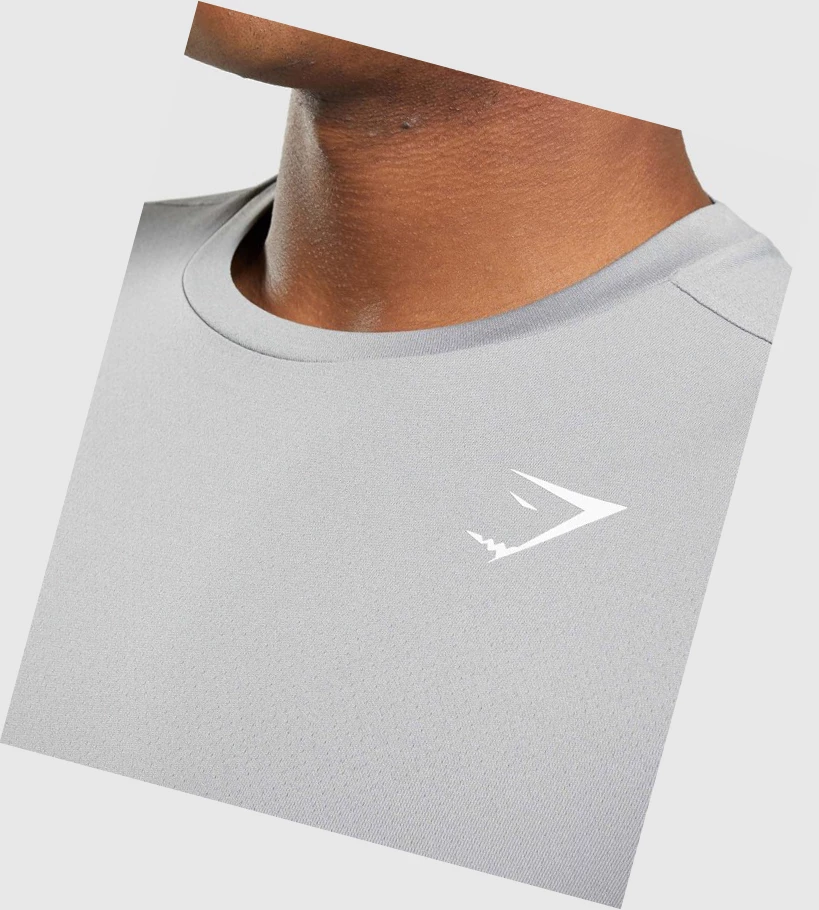 Gymshark Arrival Miesten T Paidat Harmaat | UQABVJ914