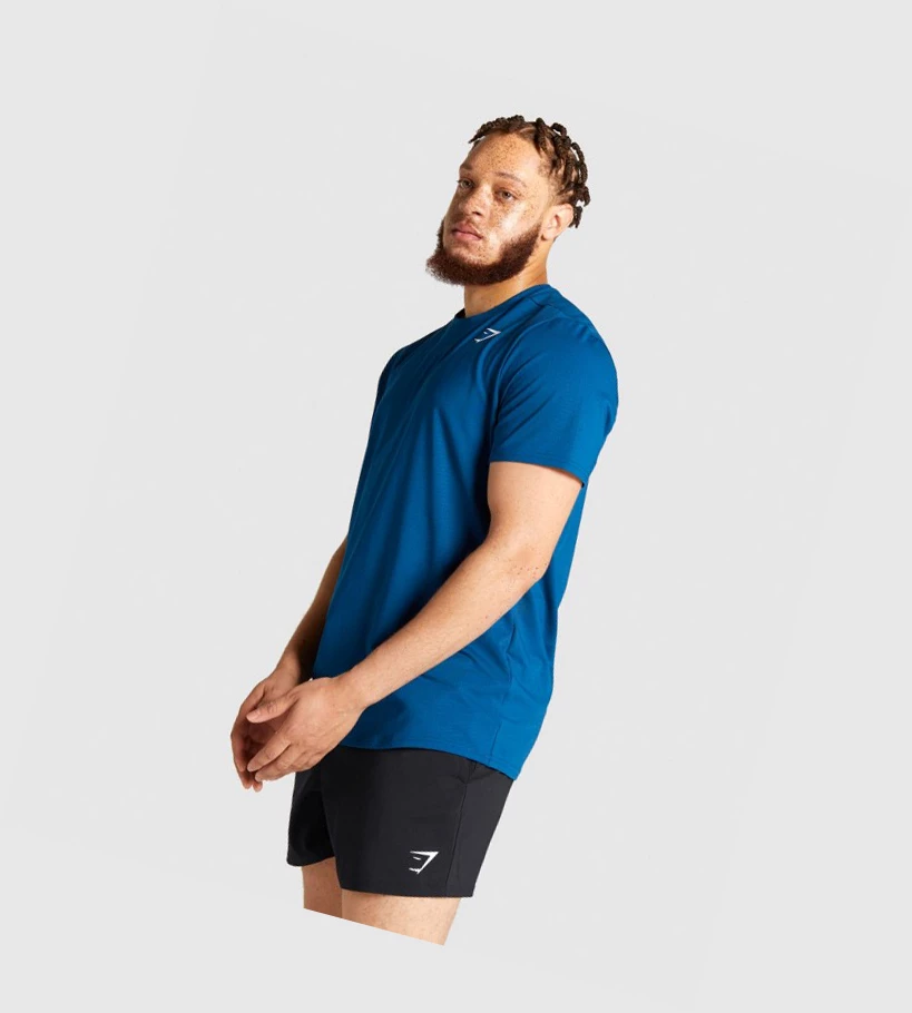 Gymshark Arrival Regular Fit Miesten T Paidat Sininen | FQUXPY865