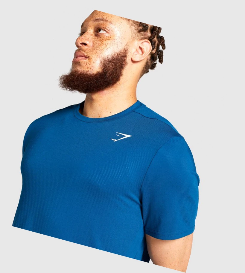 Gymshark Arrival Regular Fit Miesten T Paidat Sininen | FQUXPY865