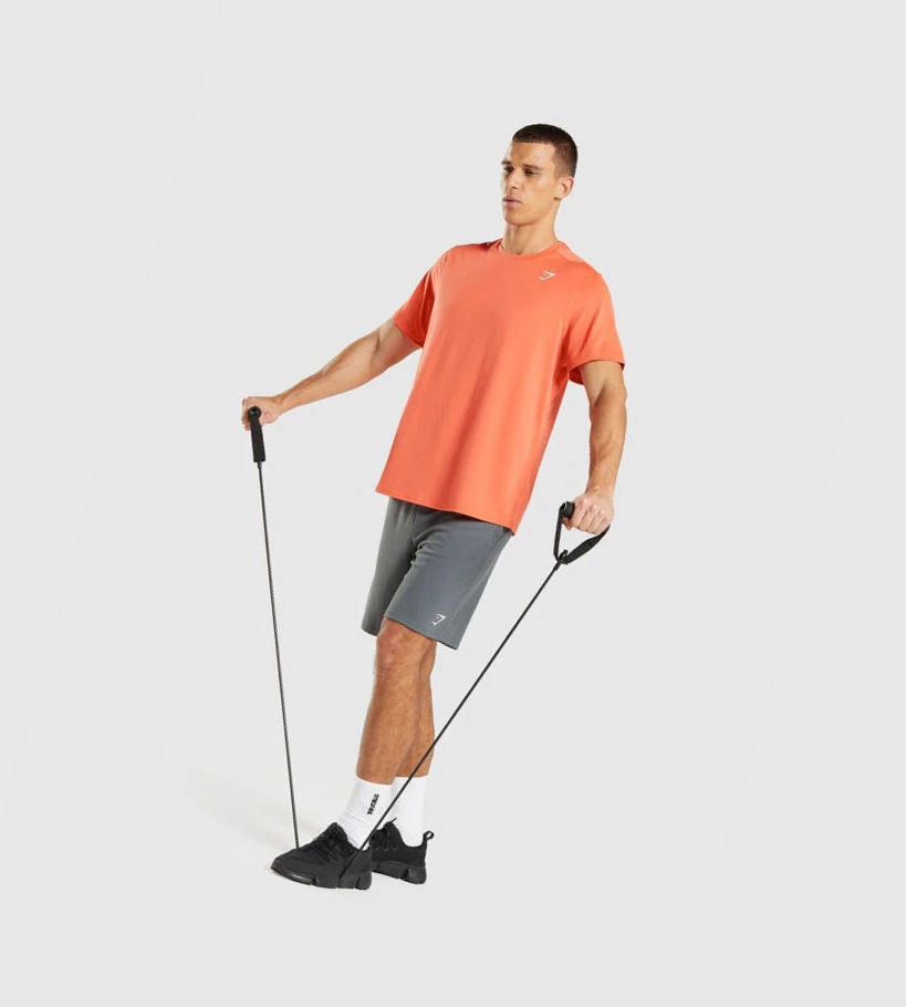 Gymshark Arrival Regular Fit Miesten T Paidat Oranssi | OFUJIB617