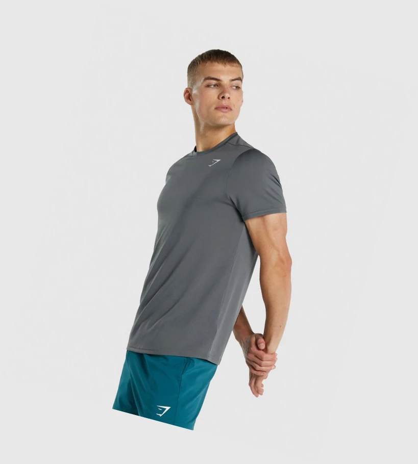 Gymshark Arrival Regular Fit Miesten T Paidat Harmaat | QXMCRT601