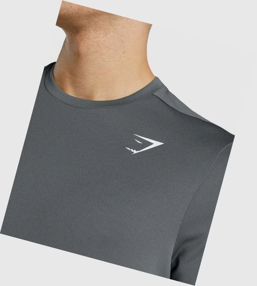 Gymshark Arrival Regular Fit Miesten T Paidat Harmaat | QXMCRT601