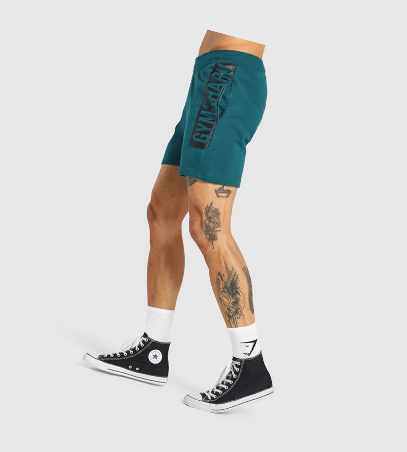 Gymshark Bold Miesten Shortsit Turkoosi | QWNLED870