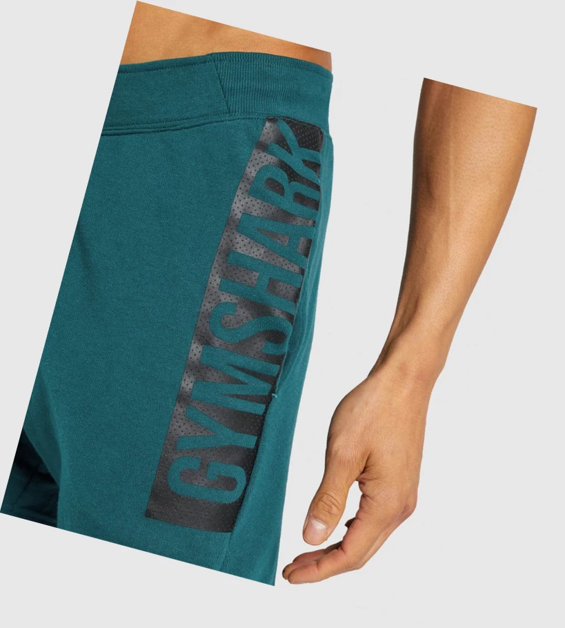 Gymshark Bold Miesten Shortsit Turkoosi | QWNLED870
