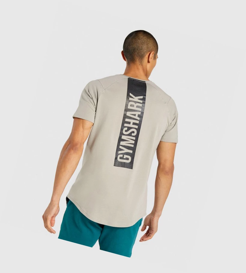 Gymshark Bold Miesten T Paidat Harmaat | GWLEXZ539