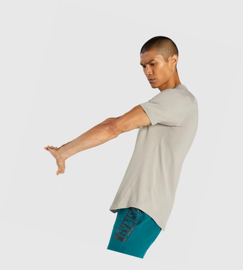 Gymshark Bold Miesten T Paidat Harmaat | GWLEXZ539